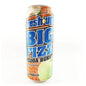 Fresh Up Big Fizz Feijoa Burst 500ml (12 x 500ml)